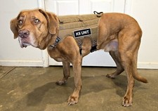 Ultimate Harness Tactical Dog Vest Coyote Color By Ray Allen Manufacturing USA