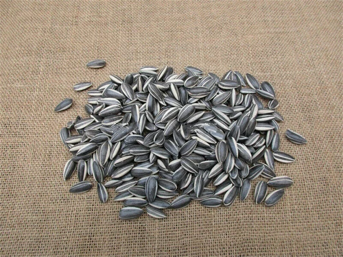 US! 100/200pcs Art Ai Weiwei Yixing Porcelain Sunflower Seeds Decoration Collect - Picture 7 of 14