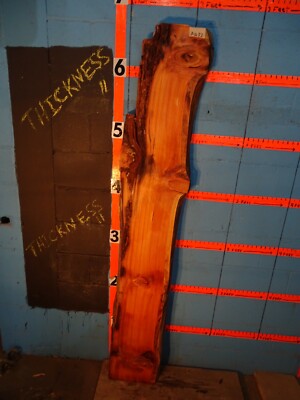 A1682    2 1/4'' THICK  tamarack larch Live Edge Slab shelf table KILN DRIED