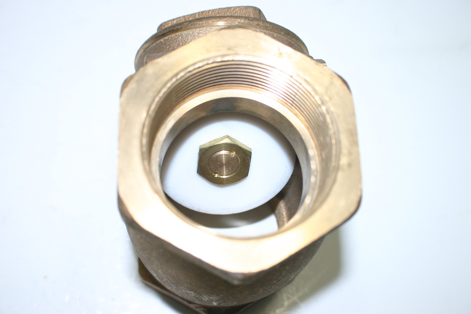 2" brass check valve