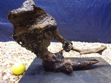 Medium Driftwood Mounted on Slate 09"x12"x07" Aquarium Reptile Natural Art