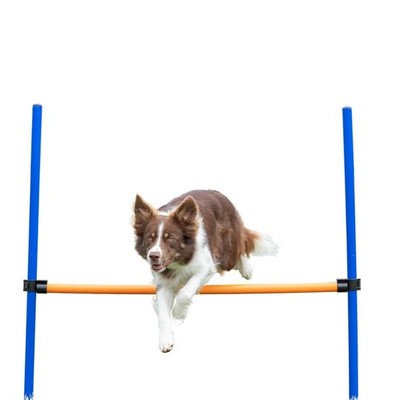 Agility Hurdle Adjustable Dog Jump, Ideal for Beginners & Advanced, Dog Obsta...