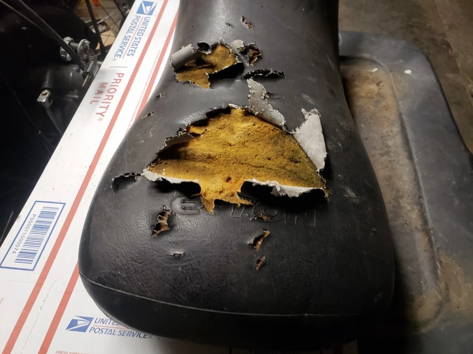 Eton DXL90, Sierra, asiento, conjunto de asiento OEM, cojín de piloto Foto 2 de 4