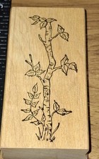 rubber Stamp,northwoods,tree Branches Leaves , B284