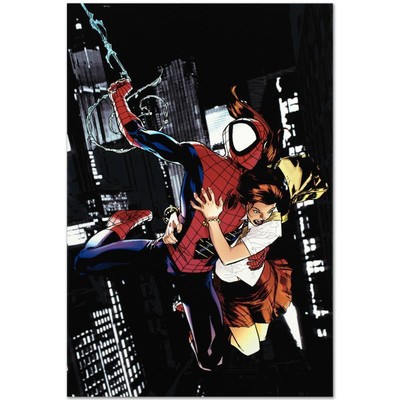 Marvel Comics Ultimatum Spider-Man Requiem #1 # Gezeichnetes Canvas Drucken