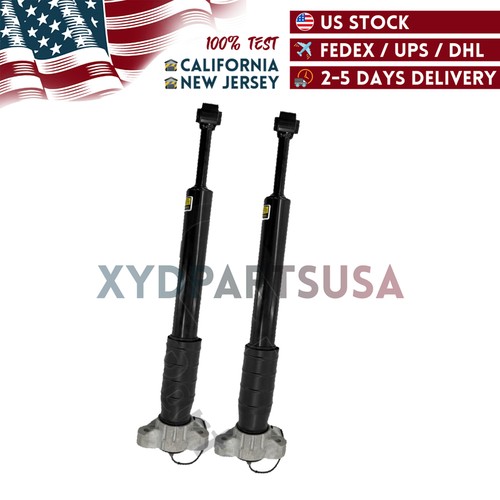 Maserati Quattroporte 2014-2019 Rear Right Dampers 2 pcs P/N 67010540 Photo - $195