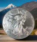 2018 Silver Eagle THIS ONE IS JUST TO GORGEOUS NOT TO LOOK AT Get In Here Now!