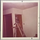 Long Hair Cat on Ladder Adorable Vintage Snapshot Photo 1970s