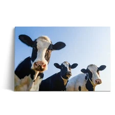 Canvas Art Home Décor Posters Prints Personalized Photo WALL ART (Ready to Hang)