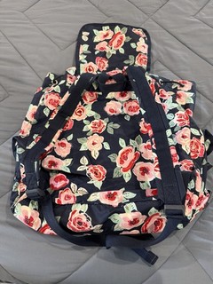 Zaino LeSportsac Classic Voyager in rosa navy