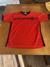 Mexico Soccer Jersey FIFA Large World Cup