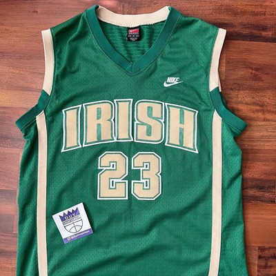 St. Vincent Mary Irish HS Lebron James Nike Swingman Jersey Mens