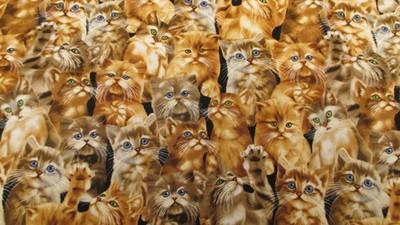 Cats All over Timeless Treasures Michael S C4121 Cotton Fabric 1yd 15'' x 44