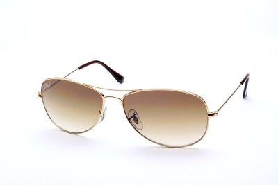 Ray Ban RB 3362 001/51 Cockpit small Gr. 56 Sonnenbrille by Eye-Net