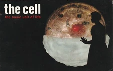 Postcard The Cell, the basic unit of life, Upjohn Pharmacy, Disneyland, CA