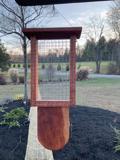 - Perfect For Woodpeckers! 🦜