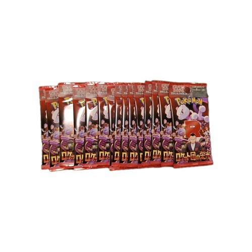 pokemon cards 300 pack Pokemonster Hunter Parody Card Pack