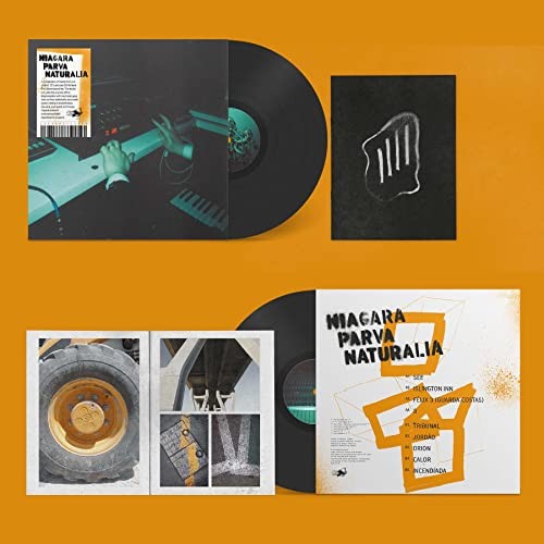 Niagara Parva Naturalia LP Vinyl DISC13 NEW