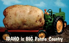 POSTCARD EXAGGERATED "IDAHO IS BIG POTATO COUNTRY"