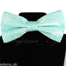 Aqua Mint Green Paisley Pre-tied Bow tie Wedding Formal Party Prom 20HH