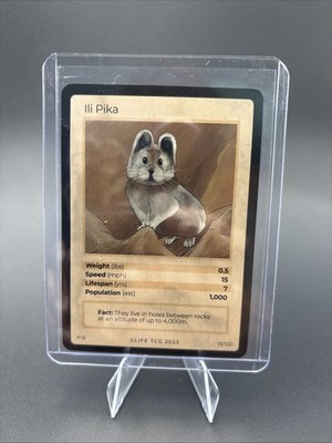 Life Tcg 19/100 1st Edition Rare Ili Pika Non Holo