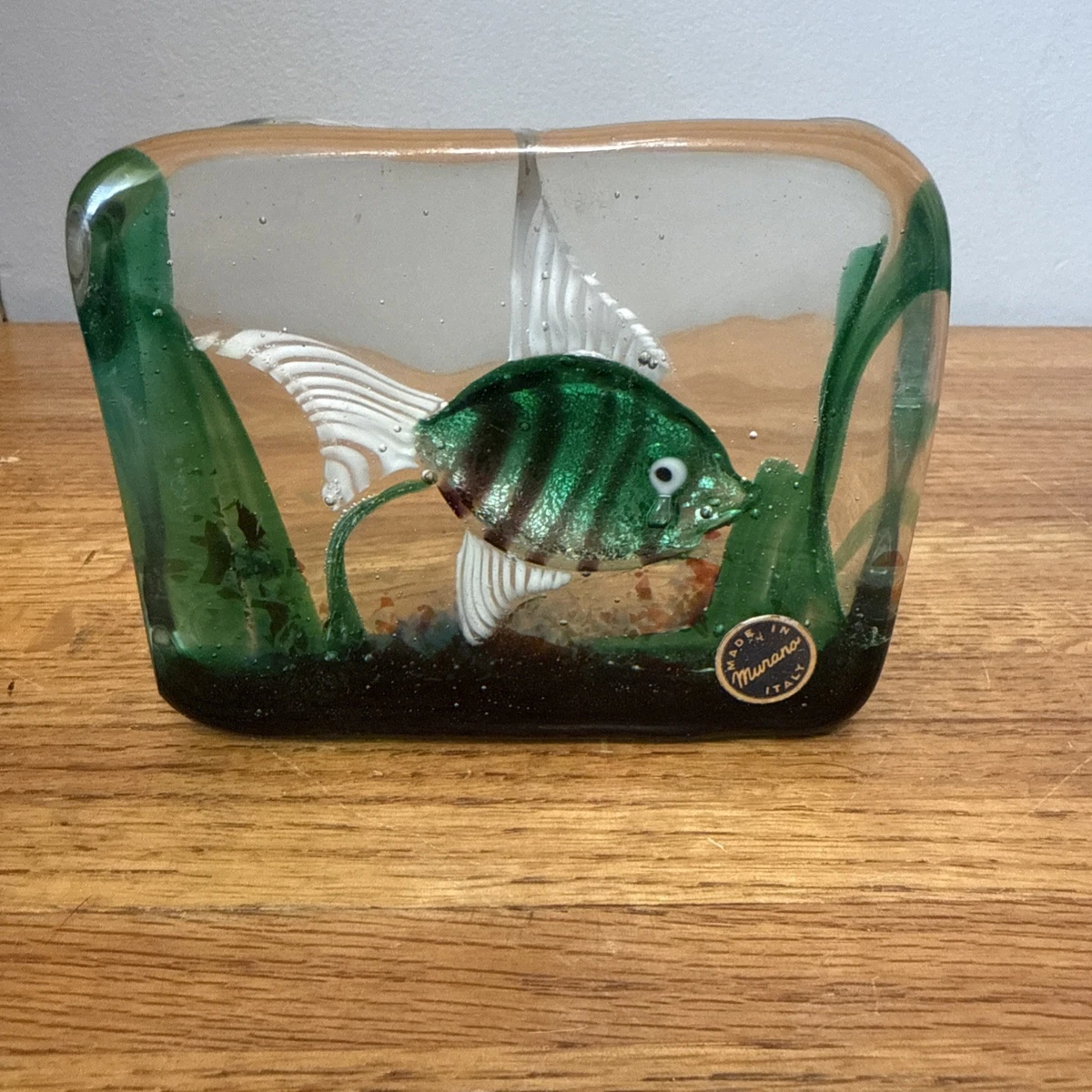 25+ Murano Aquarium for sale | Updated Oct 2026