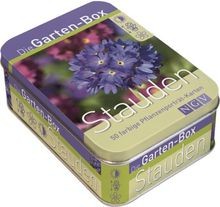 Die Gartenbox - Stauden: 50 farbige Pflanzenporträt-Kart... | Buch | Zustand gut