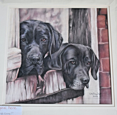 SUSAN ANNE BAXTER ORIGINAL PASTELLGEMÄLDE SCHWARZER LABRADOR KÖNNEN WIR KOMMEN?