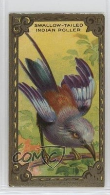 1910 ITC of Canada Game Bird Series C14 The Roller #22 0l4h