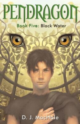 Black Water Hardcover D. J. MacHale