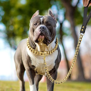 chain dog lead