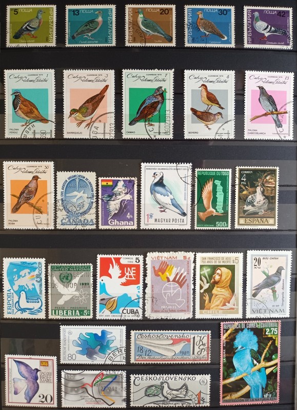 BIRDS. PIGEONS. PICASSO. PEACE DOVE. 107 STAMPS+1 SOUVENIR SHEET. LOT IN GERMANY