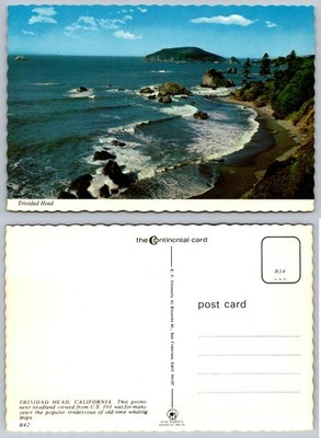 Trinidad Head California Coastal View Continental Card Deckle Edge Whaling Ships