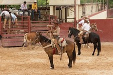 Foto: San Antonio Texas 2014 Charreria Fiesta Rodeo Mexicano Vaqueros Caballos