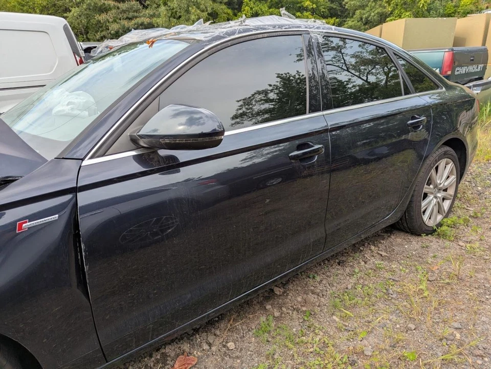 (LOCAL PICKUP ONLY) Driver Left Rear Side Door Fits 12-18 AUDI A6 787716 Foto 4 de 4
