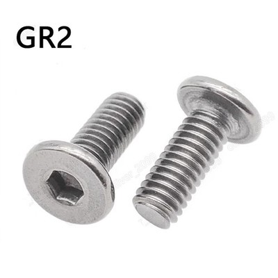 Titanium GR2 Hex Socket Utrathin Flat Head Screws M2.5 M3 M4 M5