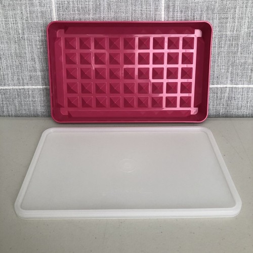 Tupperware Meat Bacon Hot Dog Keeper Container 10x6 Pink w/ Lid 1292-8 1293-1