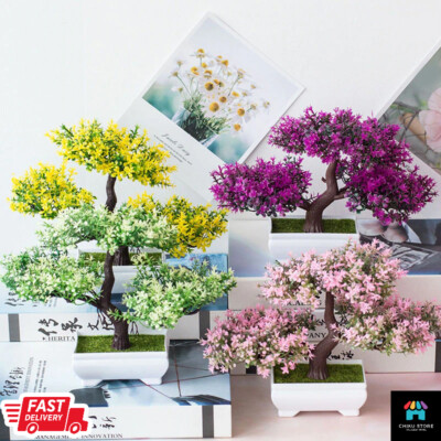 bonsai tree fertilizer Biogold Original