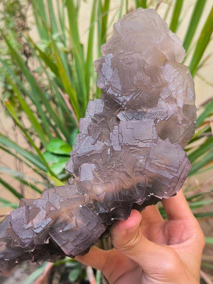 Muestra mineral de cristales de tono púrpura fluorita cúbica natural de doble cara 2120 g Foto 3 de 4