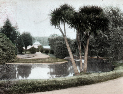 1905 Botanical Gardens Dunedin NZ Postcard NSW Pyrmont Leystone Sydney