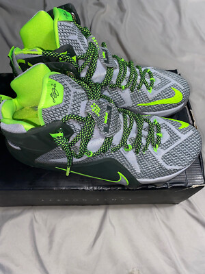 Nike LeBron james XII 12 “Dunk Force” | eBay