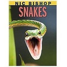 Nic Bishop Snakes by Bishop, Nic