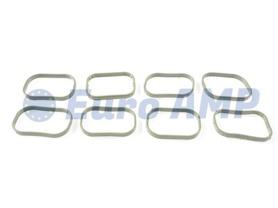 Jaguar XF XK XJ Intake Manifold Gasket 5.0 V8 N/A Engine AJ811713