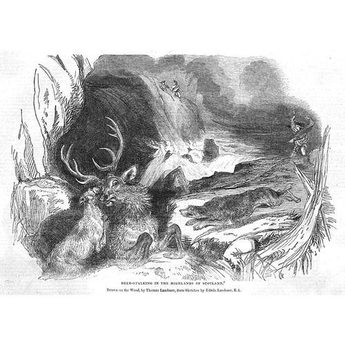 Deer Stalking in the Highlands of Scotland - Antique Print 1843