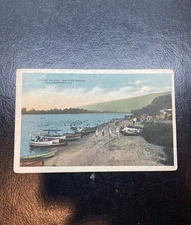 Rare c1900’s Goose Island, Sylvan Dell Beach, Williamsport, Pa. Vintage Postcard