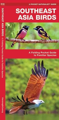 Southeast Asia Birds: A Folding Pocket Guide to Familiar Species by James Kavan - Image 3