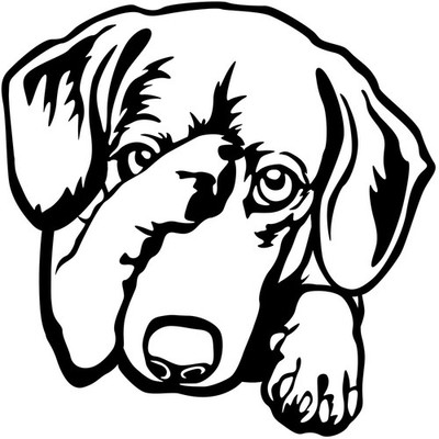 DACKEL TECKEL Aufkleber - Autoaufkleber - sticker - Dackel Kopf #44