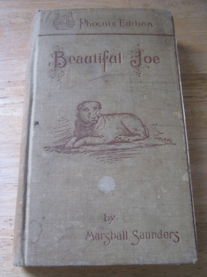 Beautiful Joe by Marshall Saunders Phoenix Edition Hardcover
