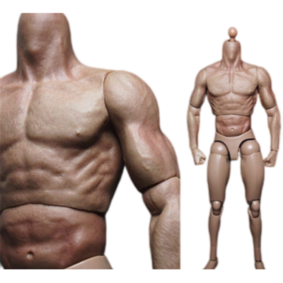 ZC Toys 1/6 Muscular Soldier Action Figure Body 12