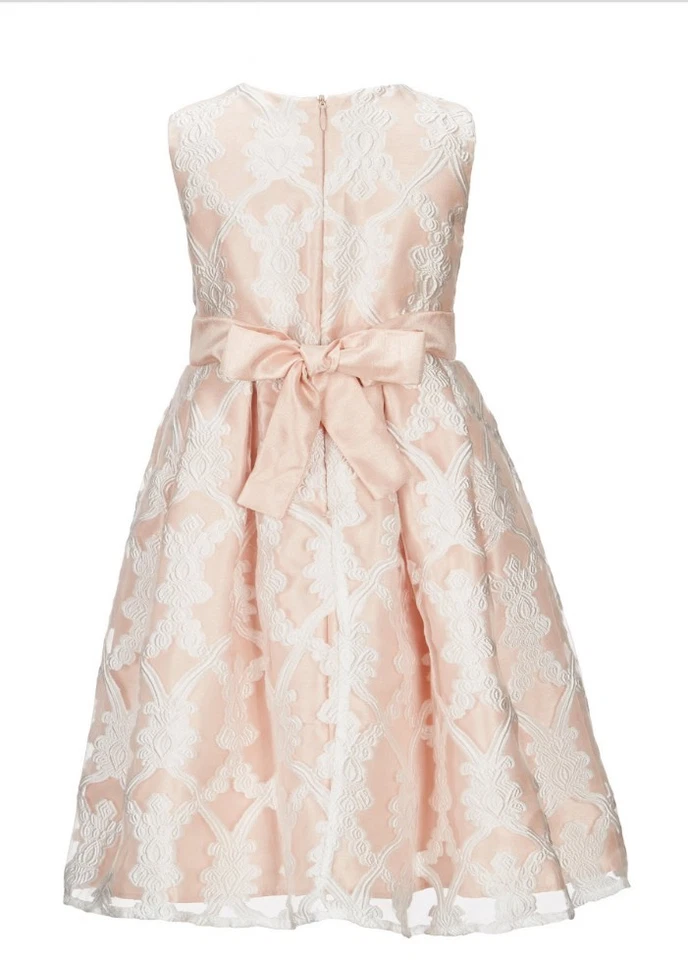 Vestido de fantasía Jayne Copeland decorativo con superposición de encaje para niña-talla-6X Foto 3 de 3